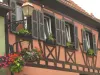 Au Coeur d'Alsace - Gästezimmer - Urlaub & Wochenende in Kintzheim