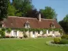 Au Gros Chêne - Bed & breakfast - Holidays & weekends in Allouis