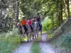 Ausritt mit dem Pferd in den Forez-Bergen - Aktivität - Urlaub & Wochenende in Vollore-Montagne