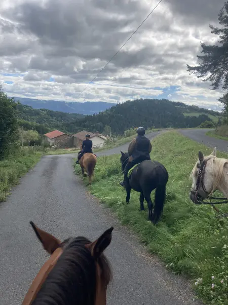 Balade à cheval au coeur du Parc du Livradois forez - Activité - Vacances & week-end à Doranges