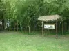 Bambus-Labyrinth, Besuch im Reifekeller mit Probe des Armagnac - Aktivität - Urlaub & Wochenende in Larroque-sur-l'Osse