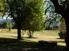 La Bastide du Claus - Vitaverde - Nos tilleuls centenaires avec vue sur le village de Cruis