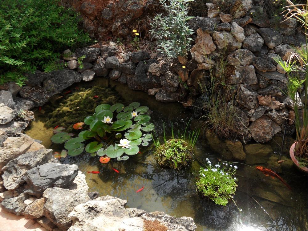 La Bastide des Templiers - Gästehaus - Gartenteich an der Terrasse