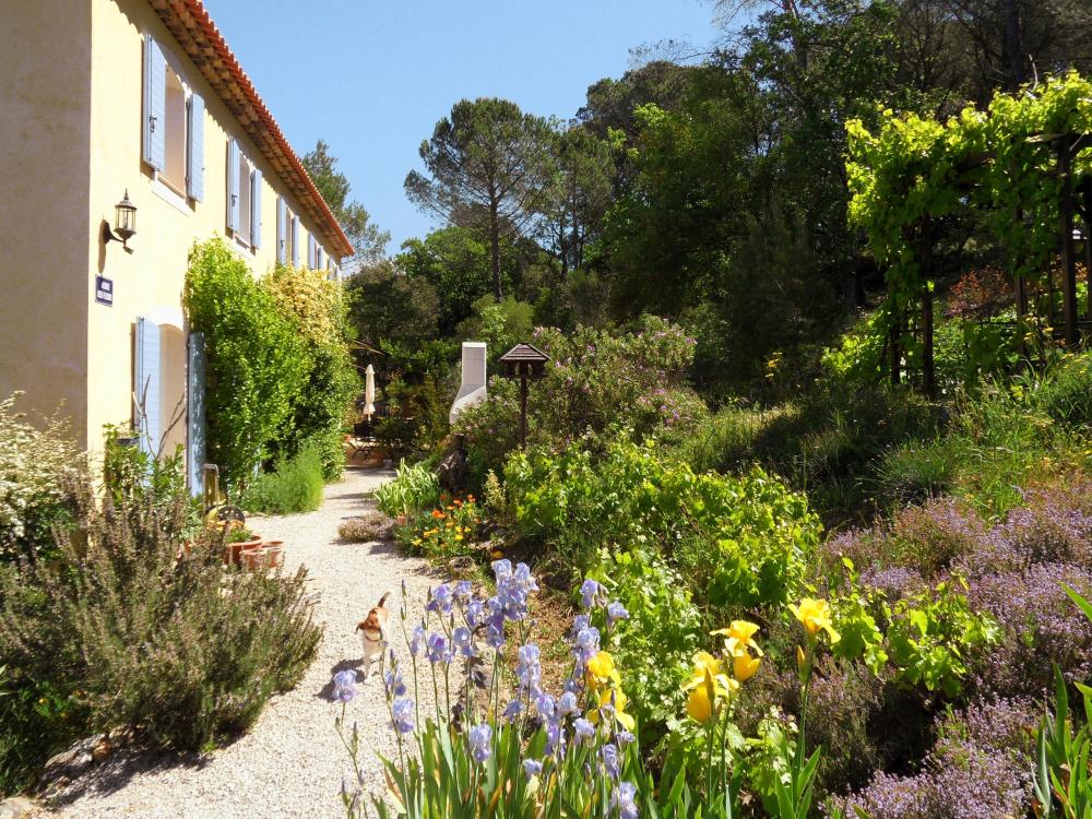 La Bastide des Templiers - Gästehaus - Das Herrenhaus umgibt ein bunter mediterraner Garten und Waldpark