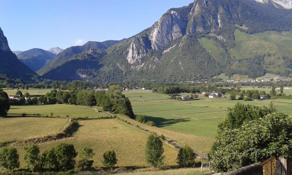 Bellevue accous. Flucht in der liebe