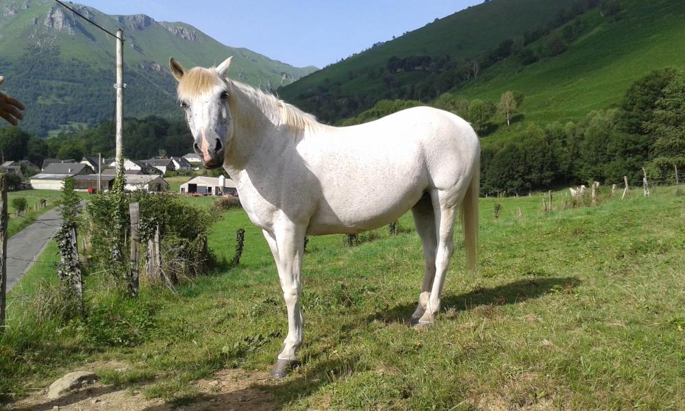 Bellevue accous. Flucht in der liebe