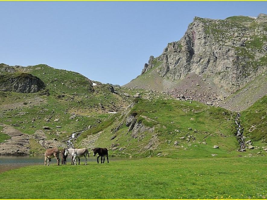 Bellevue accous. Flucht in der liebe - Grange berg