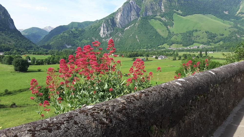 Bellevue accous. Flucht in der liebe - Blick auf das Fenster zum Dorfhaus