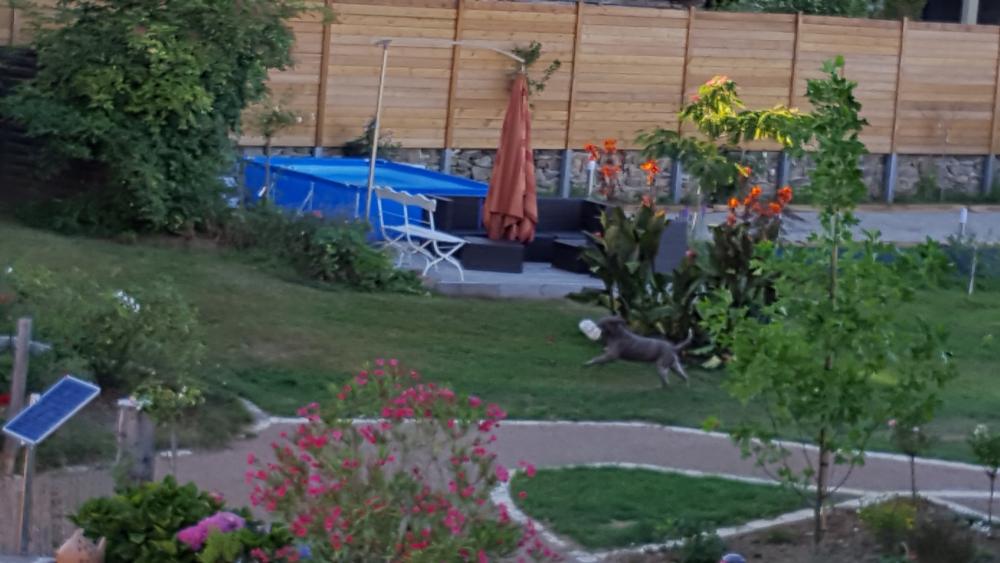 Die Benvenguda - Sommer-Lounge und Petanque