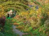 Besichtigung des Hauses und der Gärten von Claude Monet in Giverny - Transfer vom/zum Hotel - Aktivität - Urlaub & Wochenende in Paris