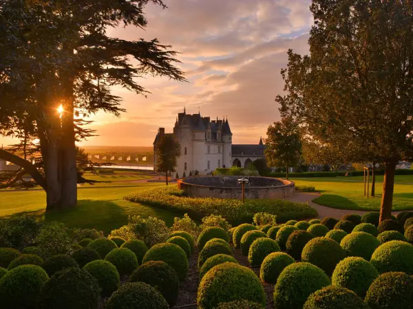 Biglietto salta fila Château Royal d'Amboise - Con histopad - Attività - Vacanze e Weekend a Amboise