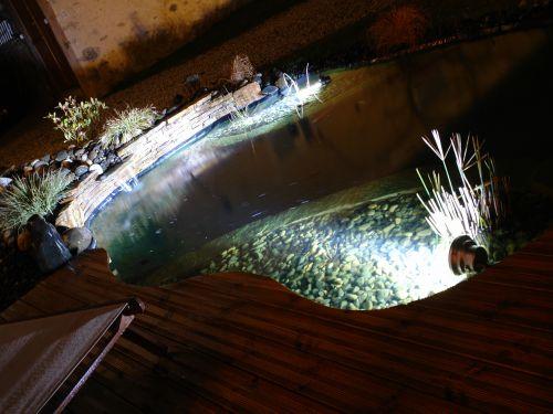 La Bigourd'in - Becken und Fische