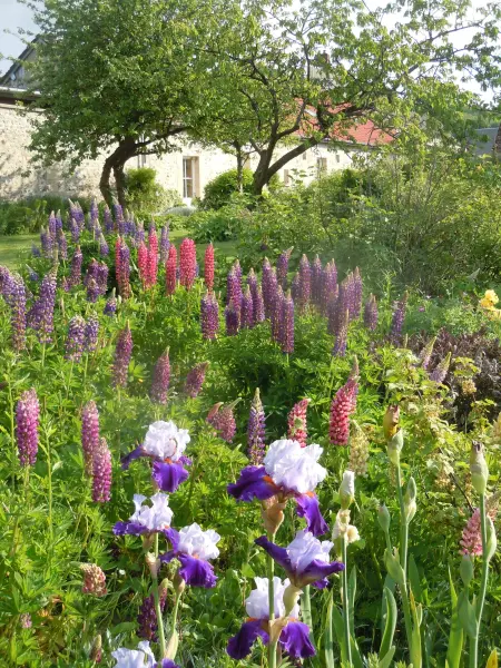 Blumen in Freiheit - Ferienunterkunft - Urlaub & Wochenende in Serans