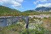 Bungee-Jumping im Tal der Gorges du Verdon - Aktivität - Urlaub & Wochenende in Comps-sur-Artuby