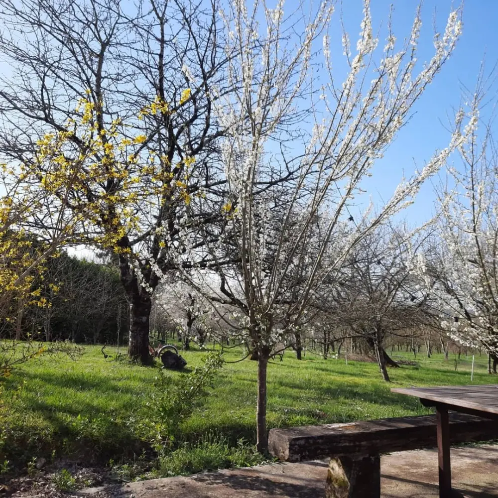 Camere La Grange de Lucie-Périgord