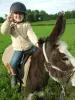 Caminhada guiada com burros - Atividade - Férias & final de semana em Flachères