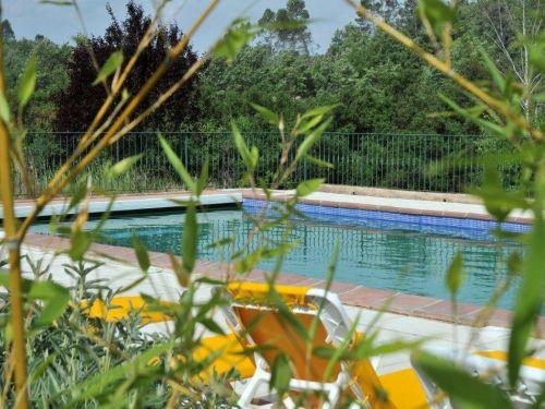Une Campagne en Provence Le Peyrourier - Ein großer Pool von 16x6 m mit Strand und Pool-Haus