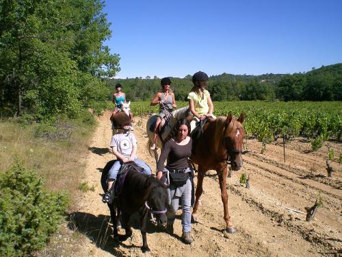 Une Campagne en Provence Le Peyrourier - Gehen Sie in den Weinbergen