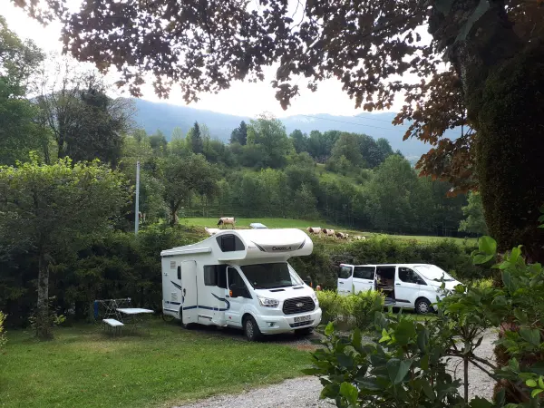 Camping Le Valserine - Camping - Vacaciones y fines de semana en Chézery-Forens