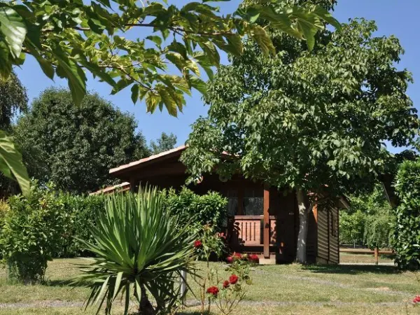 Campsite Midi-Pyrénées - Campsite - Holidays & weekends in Montréjeau