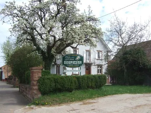 Casa equestre 'Les 4 saisons' - Pousada - Férias & final de semana em Ernolsheim-lès-Saverne