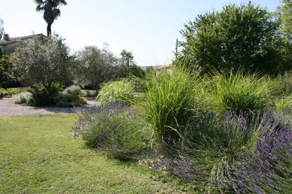 Casas de hóspedes L'Escale Provençale - Ponto de água com carpa