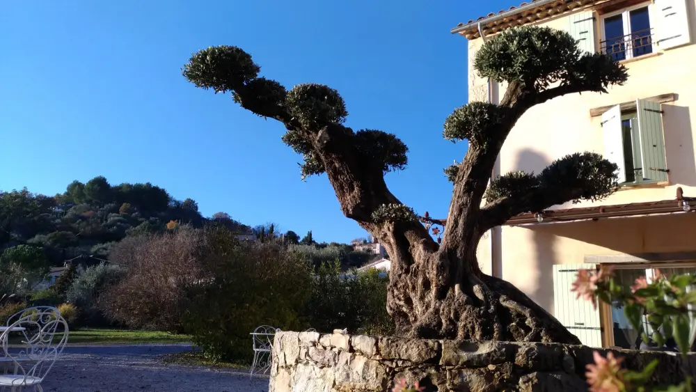 Casas de hóspedes L'Escale Provençale