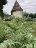 La Cascade de saintonge