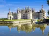 Los castillos imperdibles de Tours: Azay-le-Rideau, Chambord, Cheverny y los jardines de Villandry - Actividad - Vacaciones y fines de semana en Tours