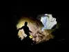 Caving for all levels - Activity - Holidays & weekends in Cazilhac