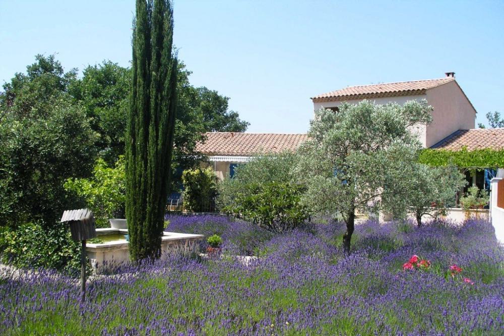 Chambres de charme-Le clos des lavandes - Das Bauernhaus, umgeben von Lavendel… Ruhig