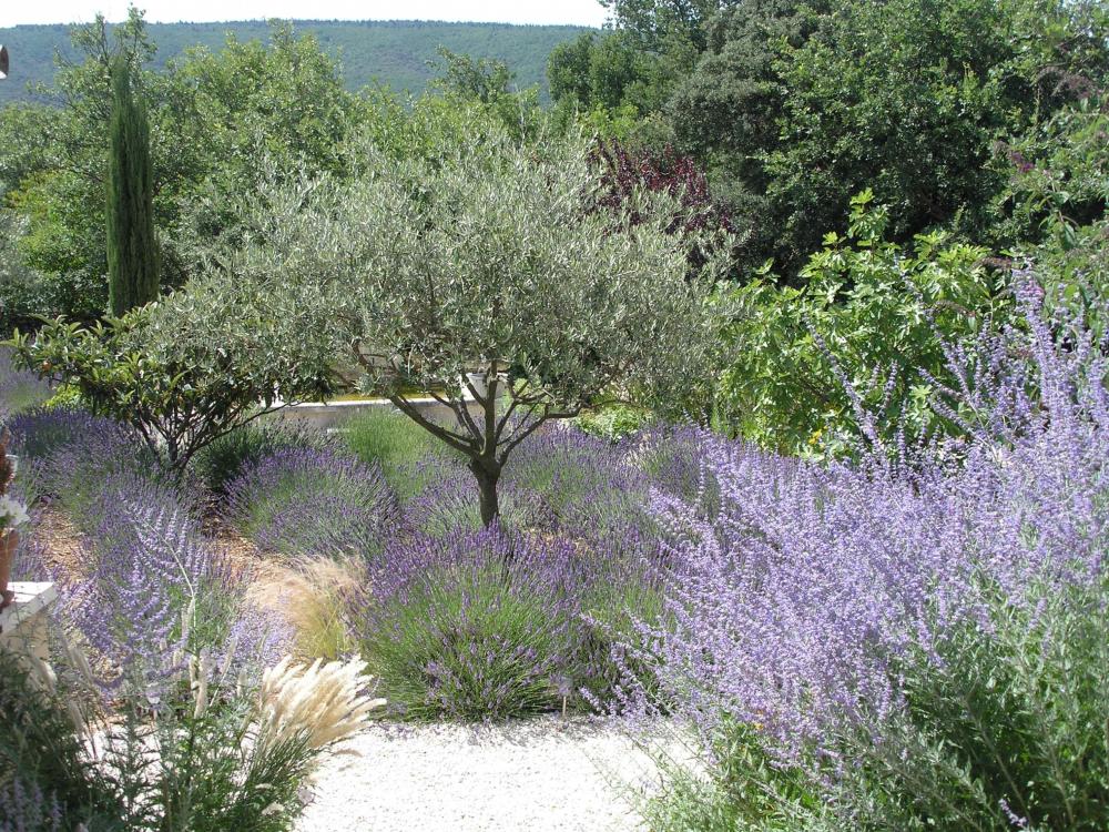 Chambres de charme-Le clos des lavandes - Lavendel, Oliven… Au Clos Lavendel