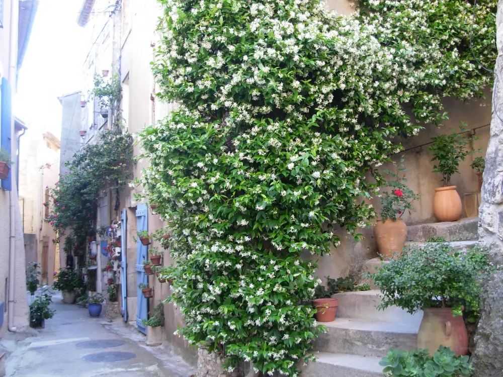 Chambres d'hotes du moulin