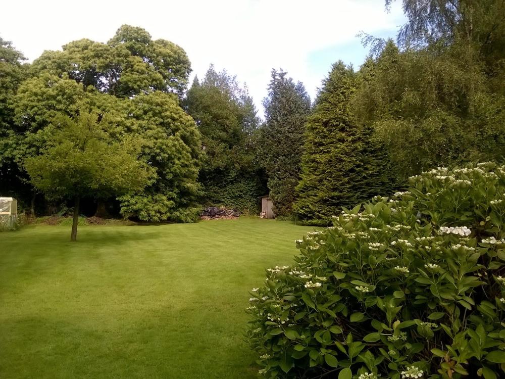 Die Châtaigneraie - Der bewaldete Park