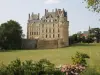 Château de Brissac - 民宿 - ヴァカンスと週末のBrissac Loire Aubance