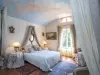 Chateau de la Rue - Bed & breakfast - Holidays & weekends in Cour-sur-Loire