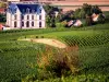 Château de Sacy - Restaurant - Vacances & week-end à Sacy