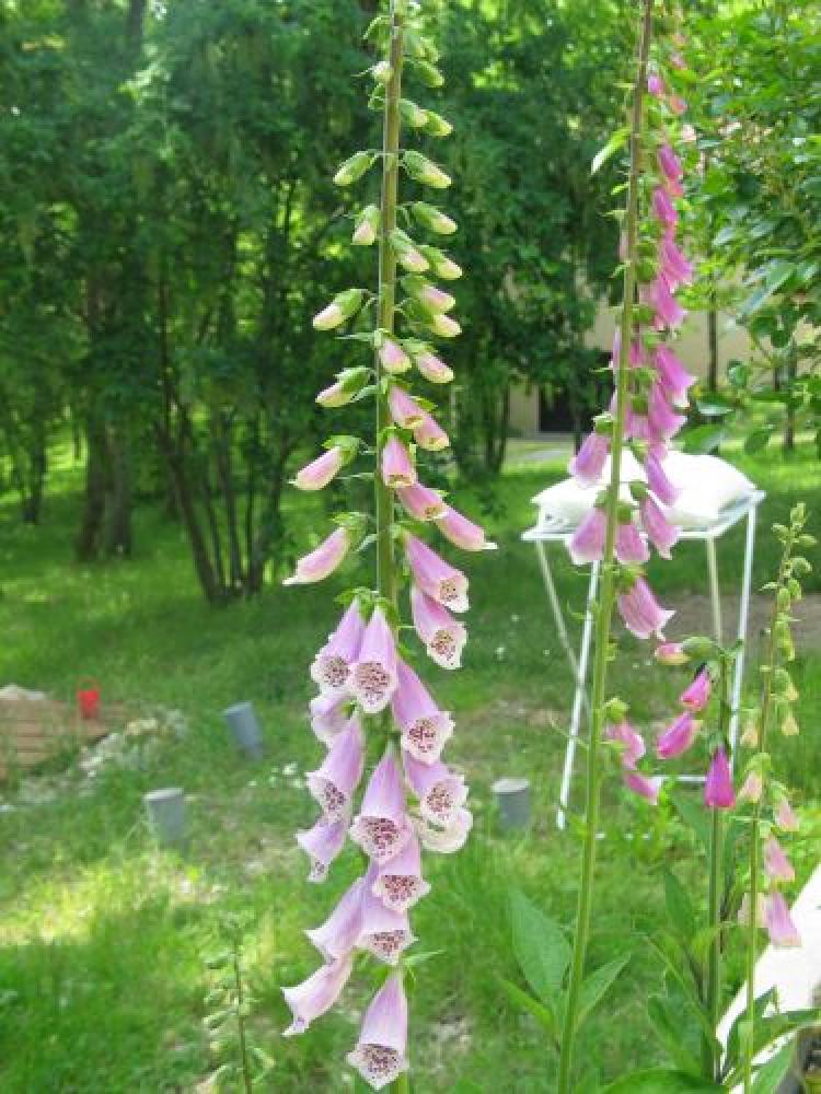 La Chêneraie - Im Garten