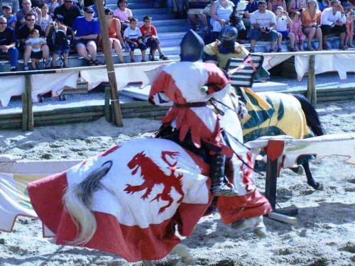 Chez Providence Chambres et Table d'Hote - Das Grand Tournament of Chivalry in Carcassonne Juli / August