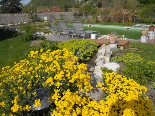 Les Coquelicots - Flores del jardín