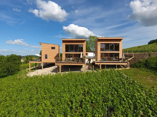 Cottages antoinette - Ferienunterkunft - Urlaub & Wochenende in Chigny-les-Roses