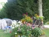 Couleurs du Monde**** - Camping - Vacances & week-end à Faverolles-sur-Cher