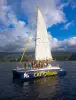 Croisière de 3h en catamaran à La Réunion au départ de Saint-Gilles-les-Bains - Boissons et collations incluses - Activité - Vacances & week-end à Saint-Gilles-les-Bains