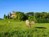 Descoberta das aldeias empoleiradas do Luberon - Atividade - Férias & final de semana em Aix-en-Provence