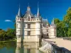 Descubra los castillos de Azay-le-Rideau, Chenonceau, Amboise, Clos Lucé y los jardines de ViIlandry en minibús - Saliendo de Tours - Actividad - Vacaciones y fines de semana en Tours