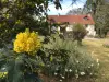 Domain Les Filloux - Bed & breakfast - Holidays & weekends in Saint-Dizier-Masbaraud