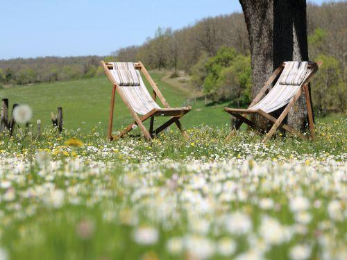 Domaine de bel air - Unter der Eiche