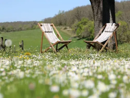 Domaine de bel air - Under the oak tree