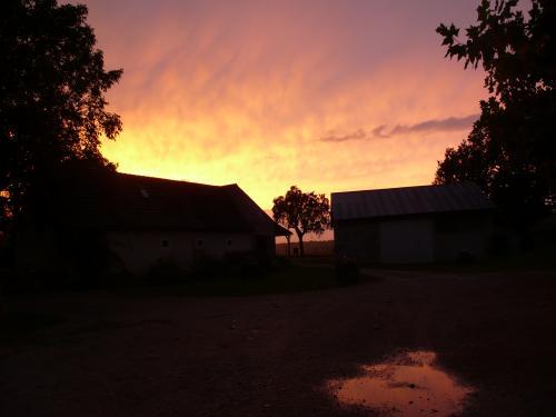 Domaine de bel air - Sommer Farbe
