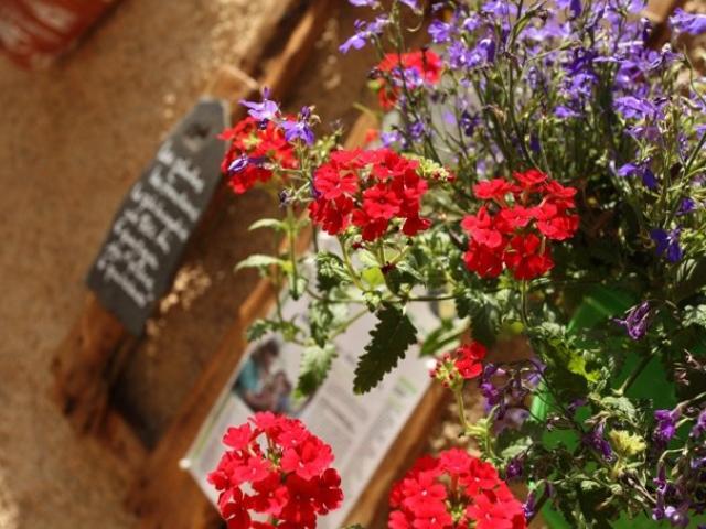Domaine de bel air - Vor dem Haus